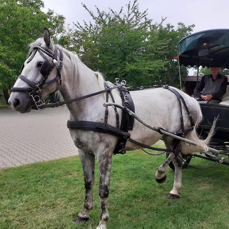 Vadaspuszta Vendeghaz Csatka Dış mekan fotoğraf