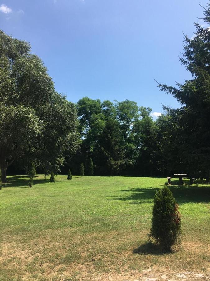 Vadaspuszta Vendeghaz Csatka Dış mekan fotoğraf