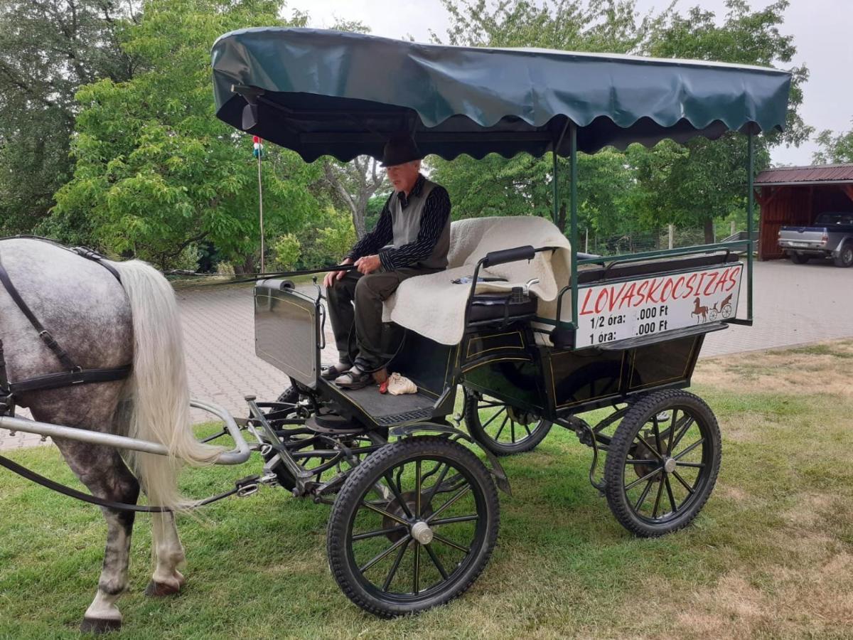Vadaspuszta Vendeghaz Csatka Dış mekan fotoğraf
